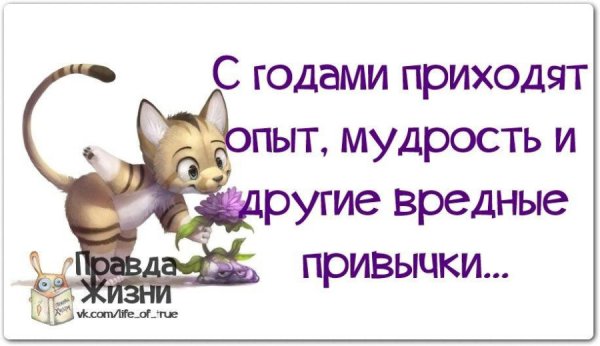 Мудрость жизни приколы