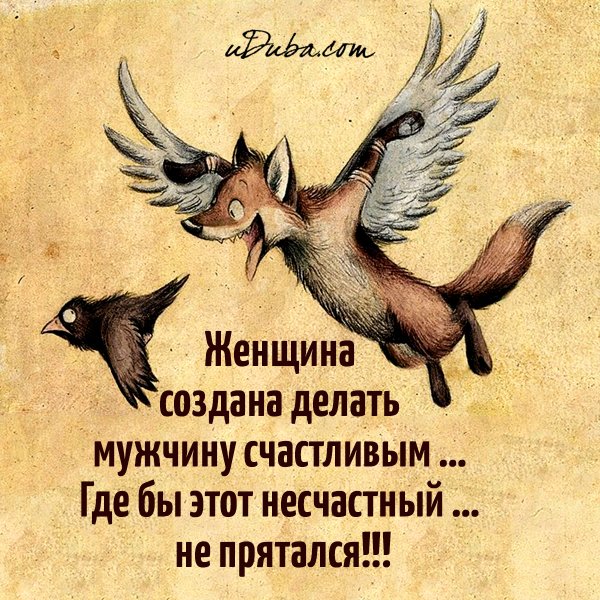 Смешные и Мудрые высказывания