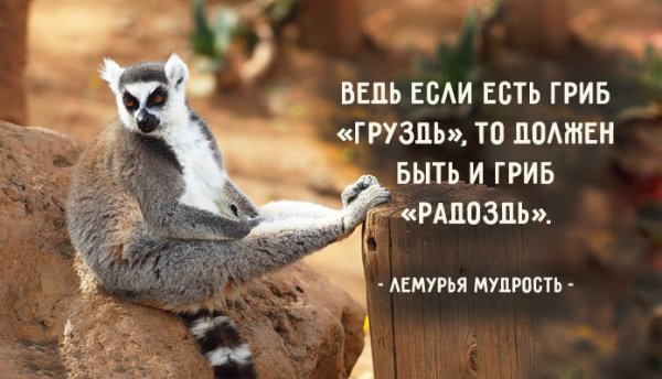 Позитивные картинки для поднятия настроения