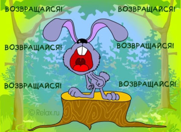 Возвращайтесь скорее домой