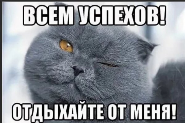 Я В отпуске не скучайте