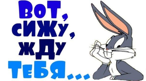 Жду картинки