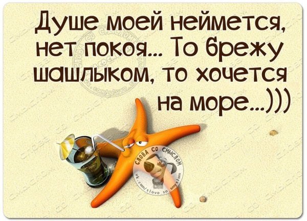 Прикольные фразы про лето и отпуск