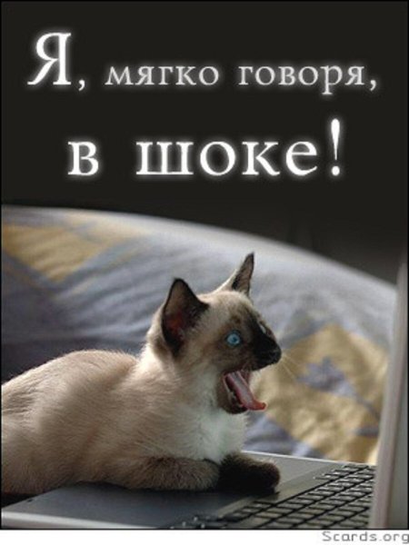 Открытки с удивлением прикольные