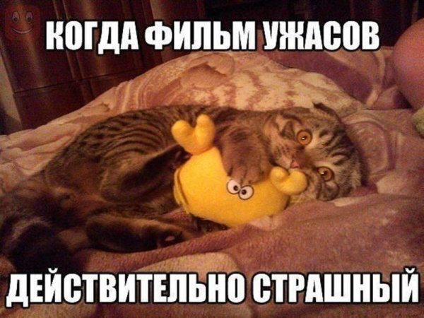 Картинки ужастики приколы