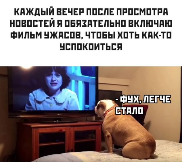 После просмотра новостей