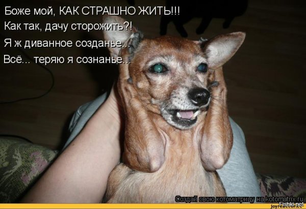 Как страшно жить картинки