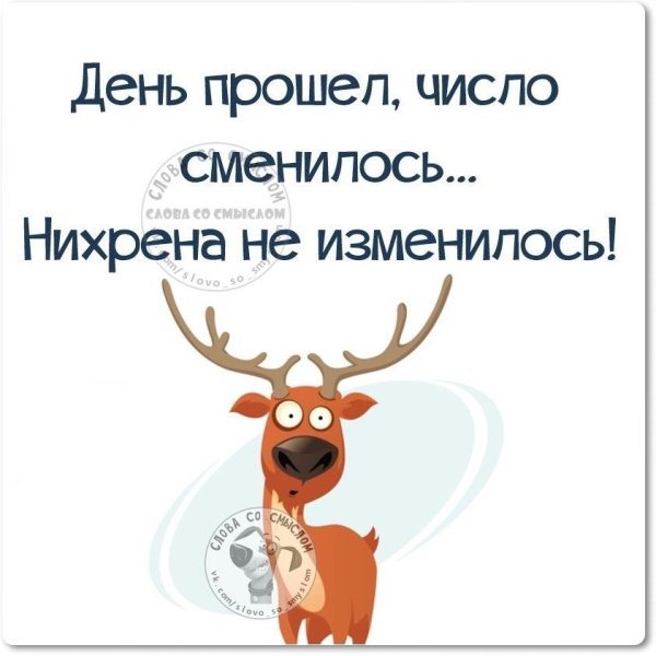 Юмор в картинках со смыслом