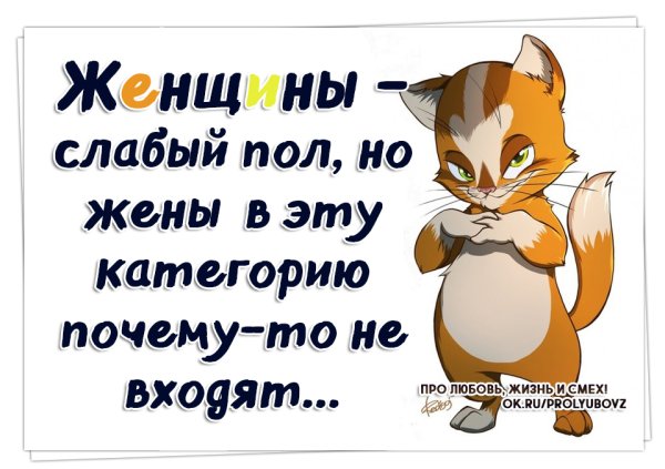 Смешные картинки про жизнь
