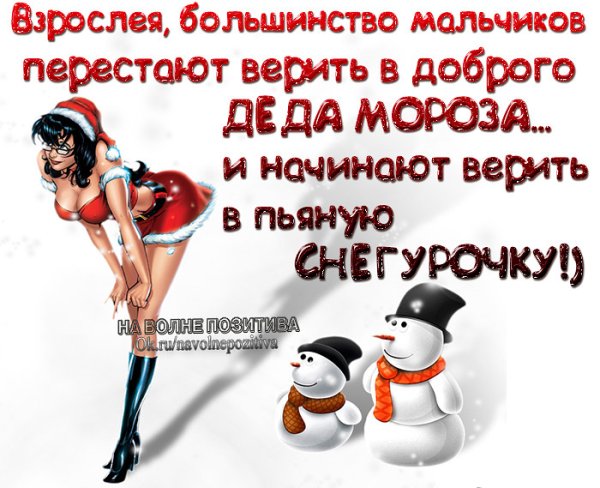 Смешные предновогодние статусы в картинках