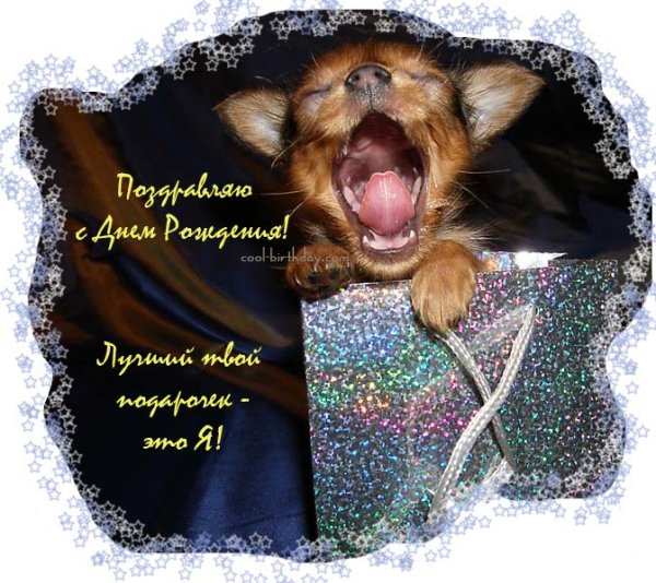 Открытка с днём рождения с собачкой