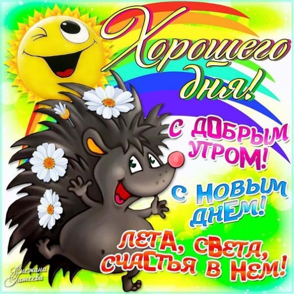 Смешные пожелания доброго утра