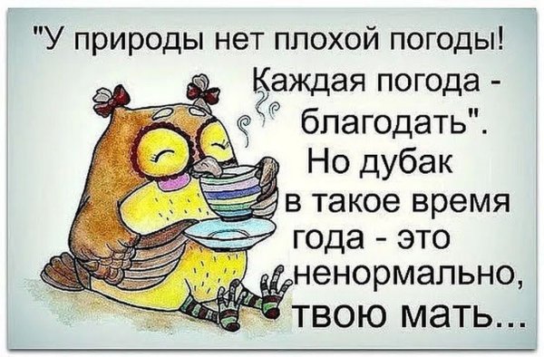 Шутки про погоду в картинках