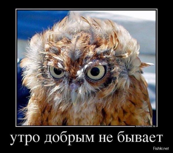 Демотиваторы с добрым утром