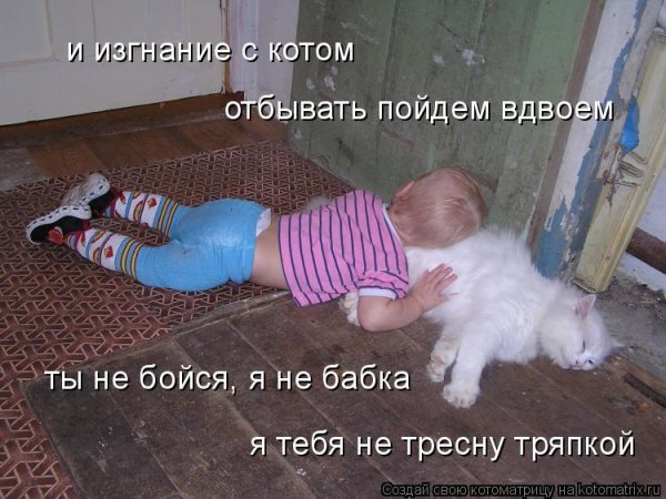 Дети и кошки приколы