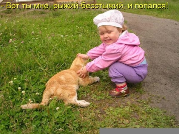 Веселые животные с надписями