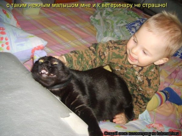 Смешные дети с животными и надписями