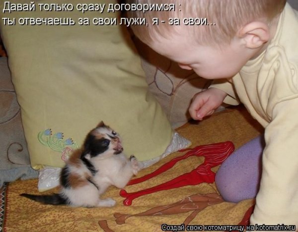 Смешные картинки с животными с надписями до слёз
