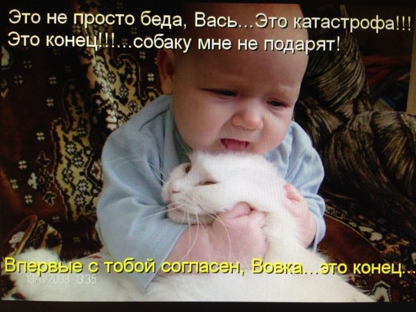 Картинки с детьми прикольные с надписями