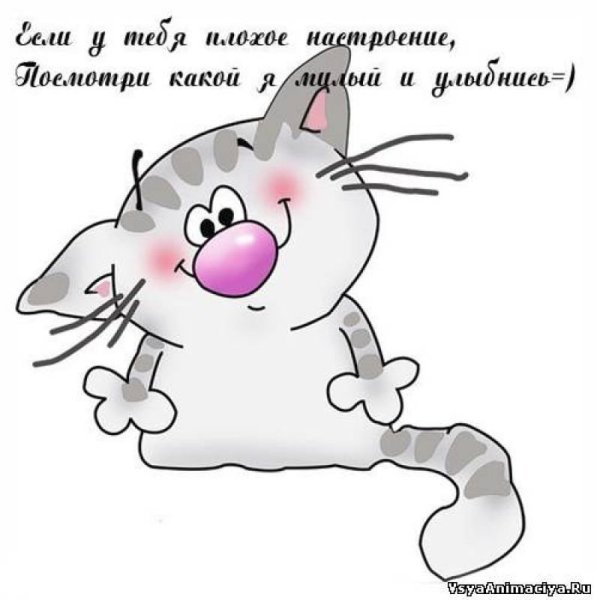 Смешные открытки