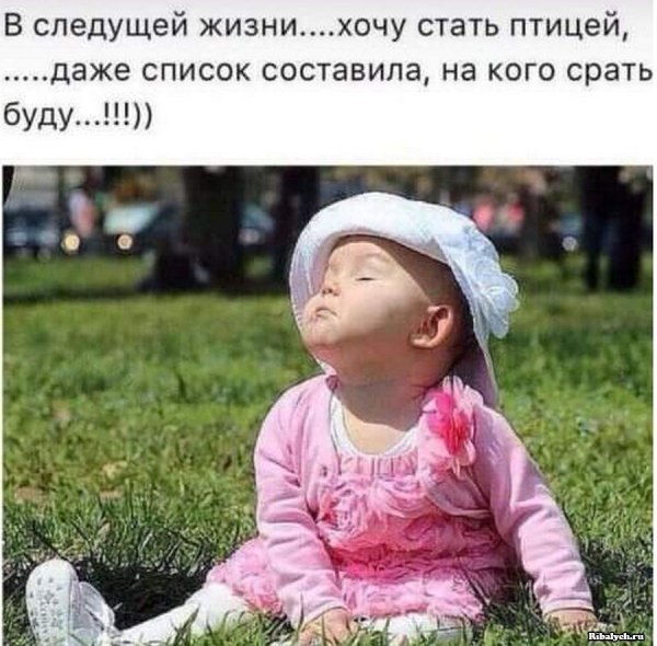 Приколы для поднятия настроения