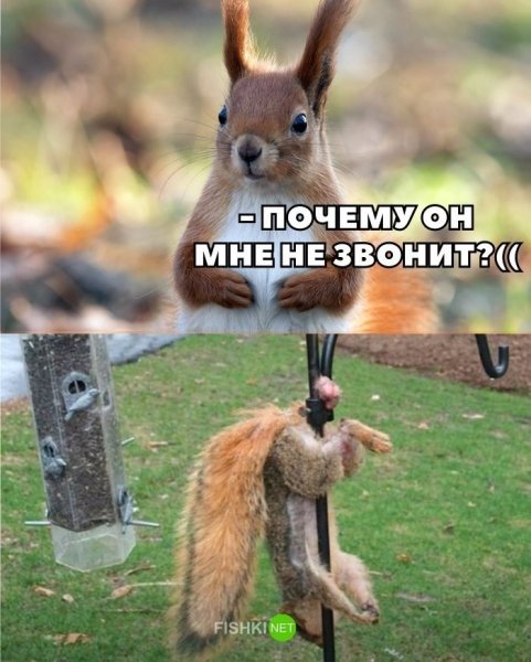 Картинки для поднятия настроения