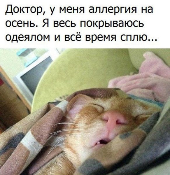 Вставай будильник звонит