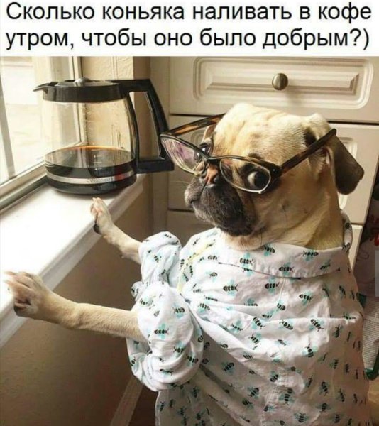 С добрым утром юмор