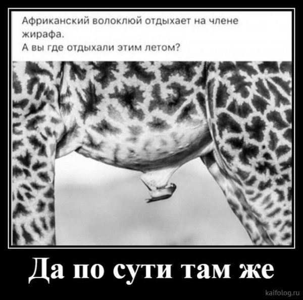 Прикольные картинки со смыслом