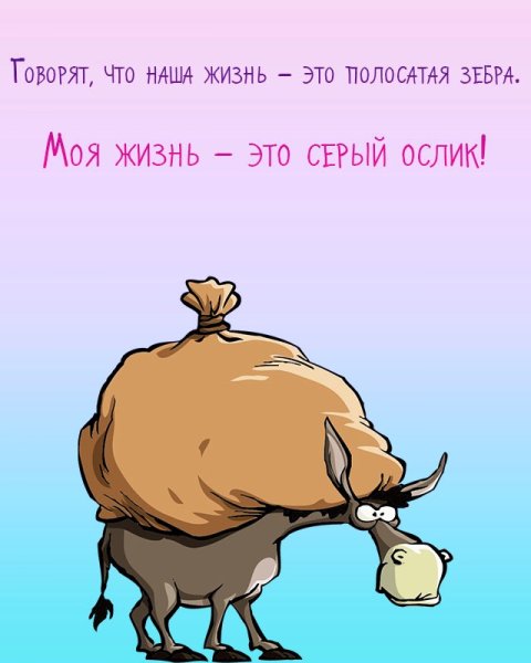Приколы про жизнь