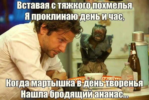 Похмелье приколы