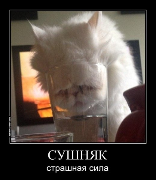 Фото с бодуна с приколом