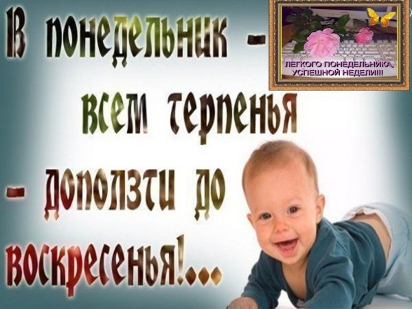Лёгкого понедельниика