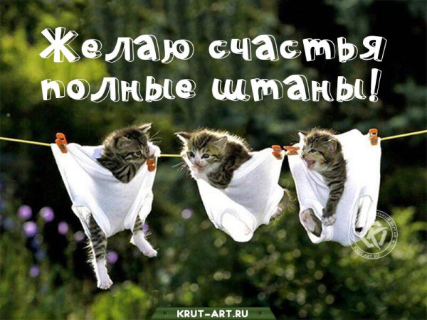Желаю счастья полные штаны
