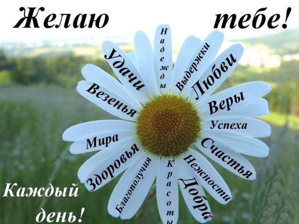 Позитивные пожелания на день рождение