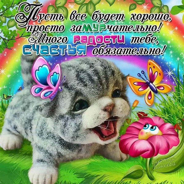 Смешные пожелания счастья