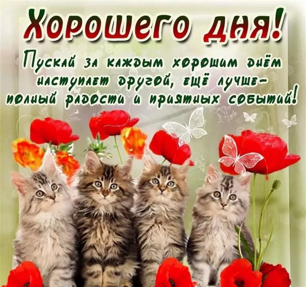 Поздравление с добрым днем
