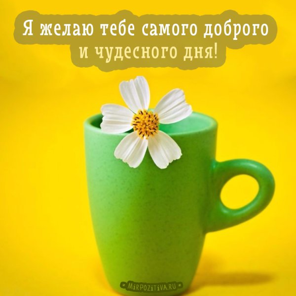 Хорошего дня и отличного настроения