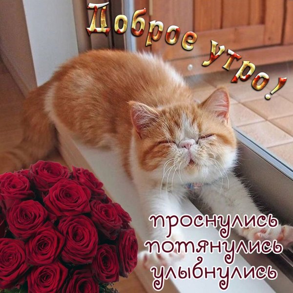 Открытки доброе утро