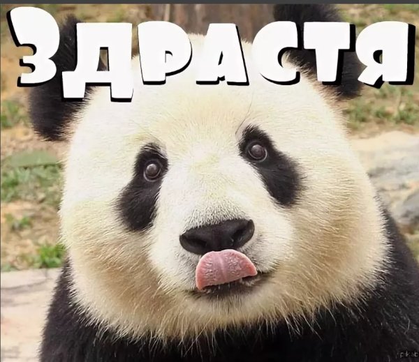 Привет прикол