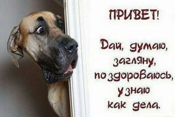 Открытка как дела прикольная