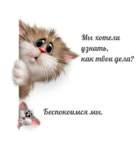 Как дела картинки
