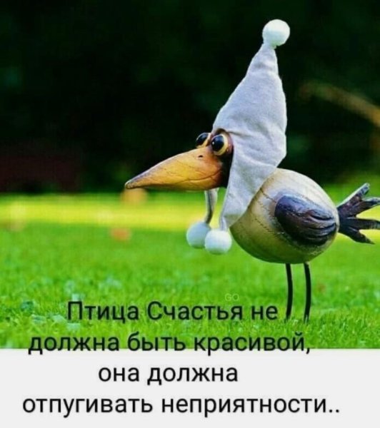 Прикольные птички