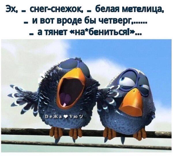 Веселые птички