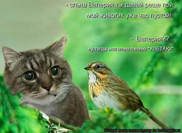 Приколы про птиц с надписями