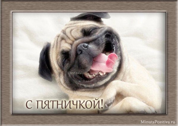 С пятничкой