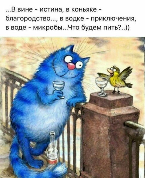 Синие коты с надписями