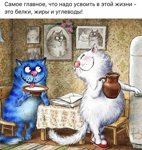 Синий кот