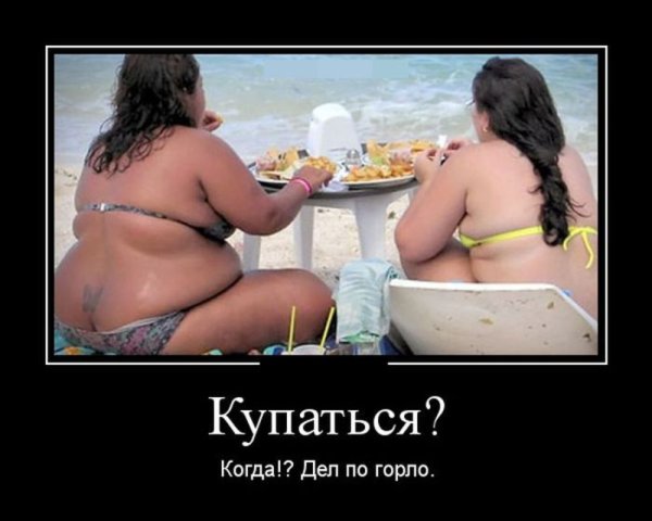 Шутки про жирных