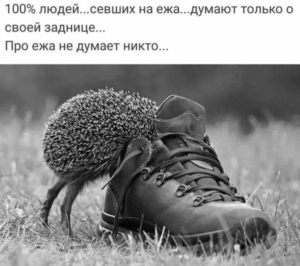 Цитаты со смыслом прикольные